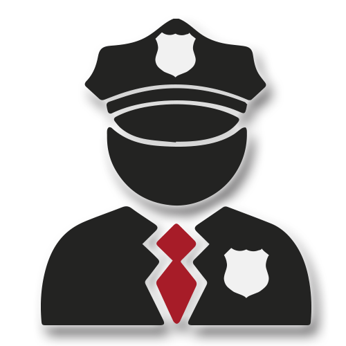 Seguridad Ciudadana